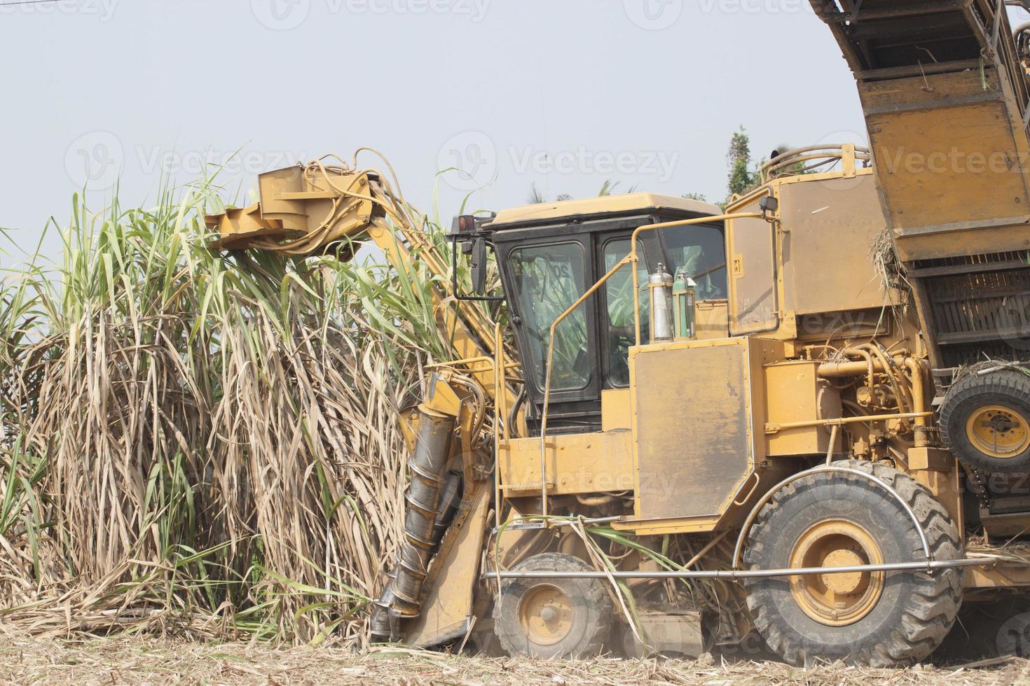 Sugarcane harvesters are cutting sugarcane and transporting it to trucks to deliver sugar mills during the harvesting season and converting the produce for consumption and export in rural Thailand. photo