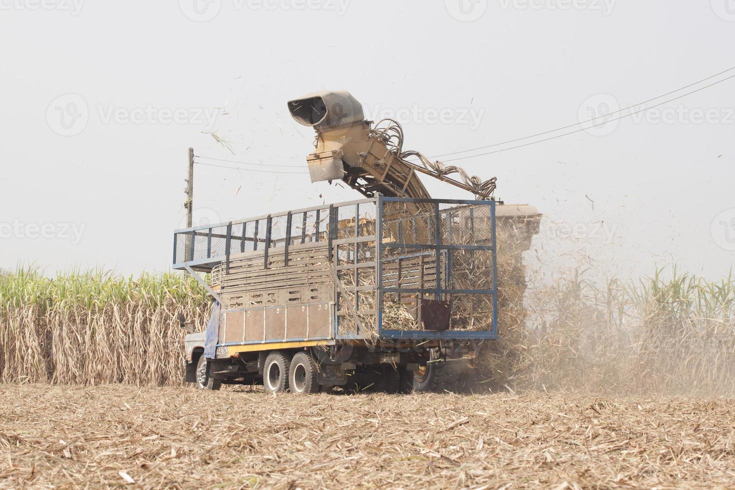 Sugarcane harvesters are cutting sugarcane and transporting it to trucks to deliver sugar mills during the harvesting season and converting the produce for consumption and export in rural Thailand. photo