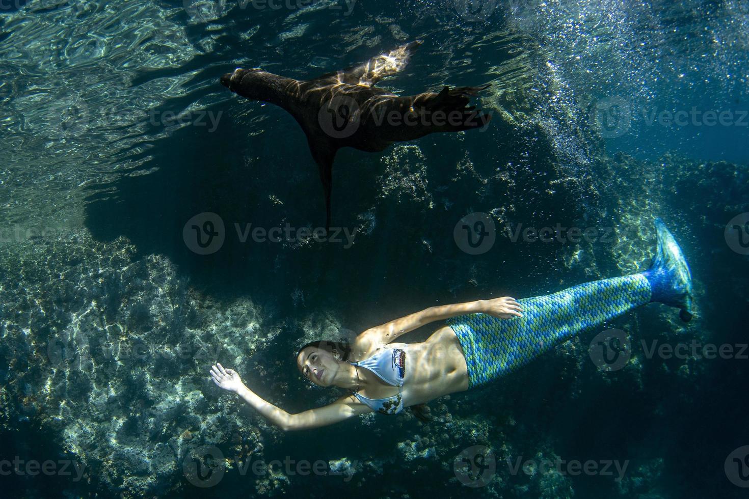 Mermaid swimming underwater in the deep blue sea photo