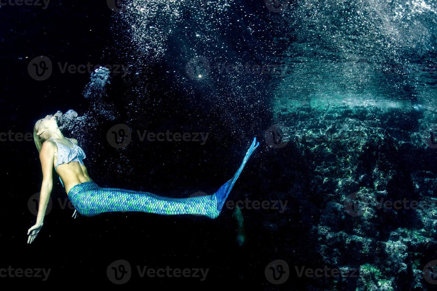 Blonde beautiful Mermaid and sea lion photo