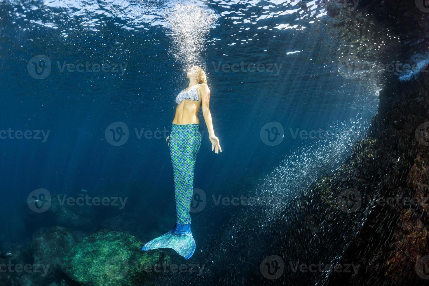 Blonde beautiful Mermaid diver underwater photo