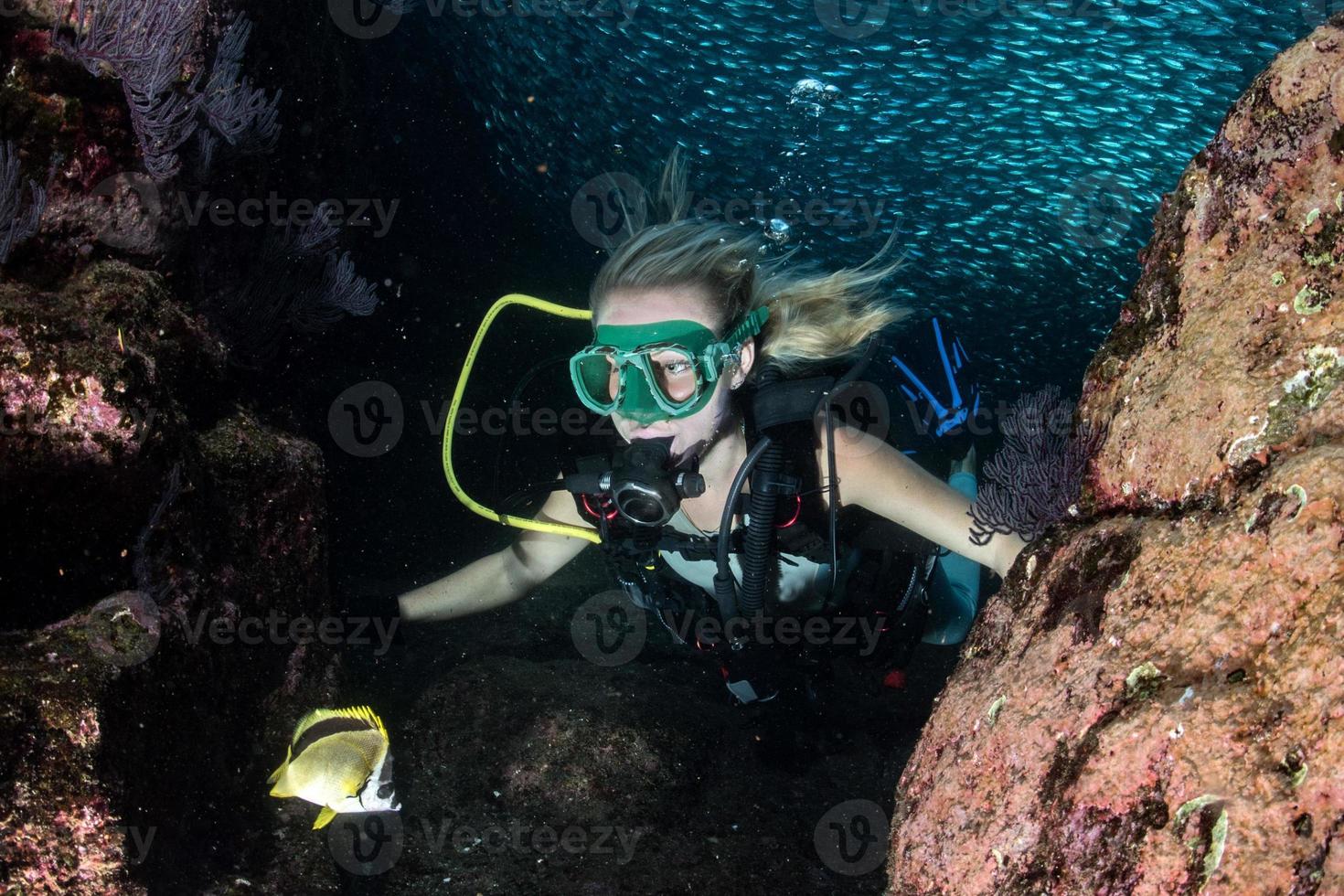 Chica buzo rubia de belleza mirándote mientras nadas bajo el agua foto