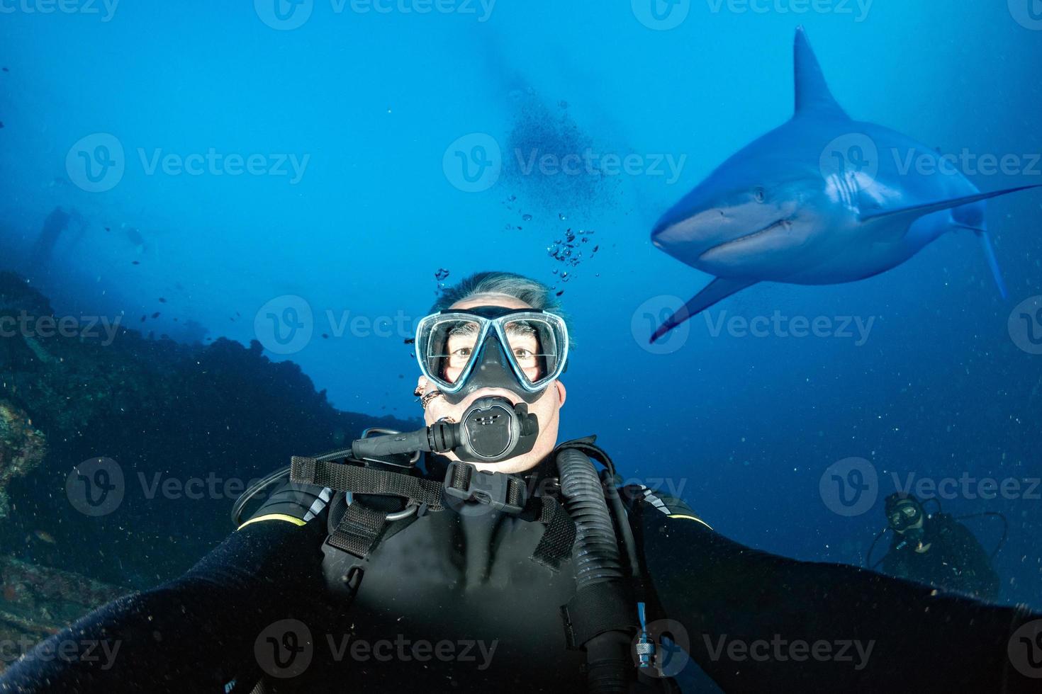 Underwater selfie with grey white shark ready to attack photo