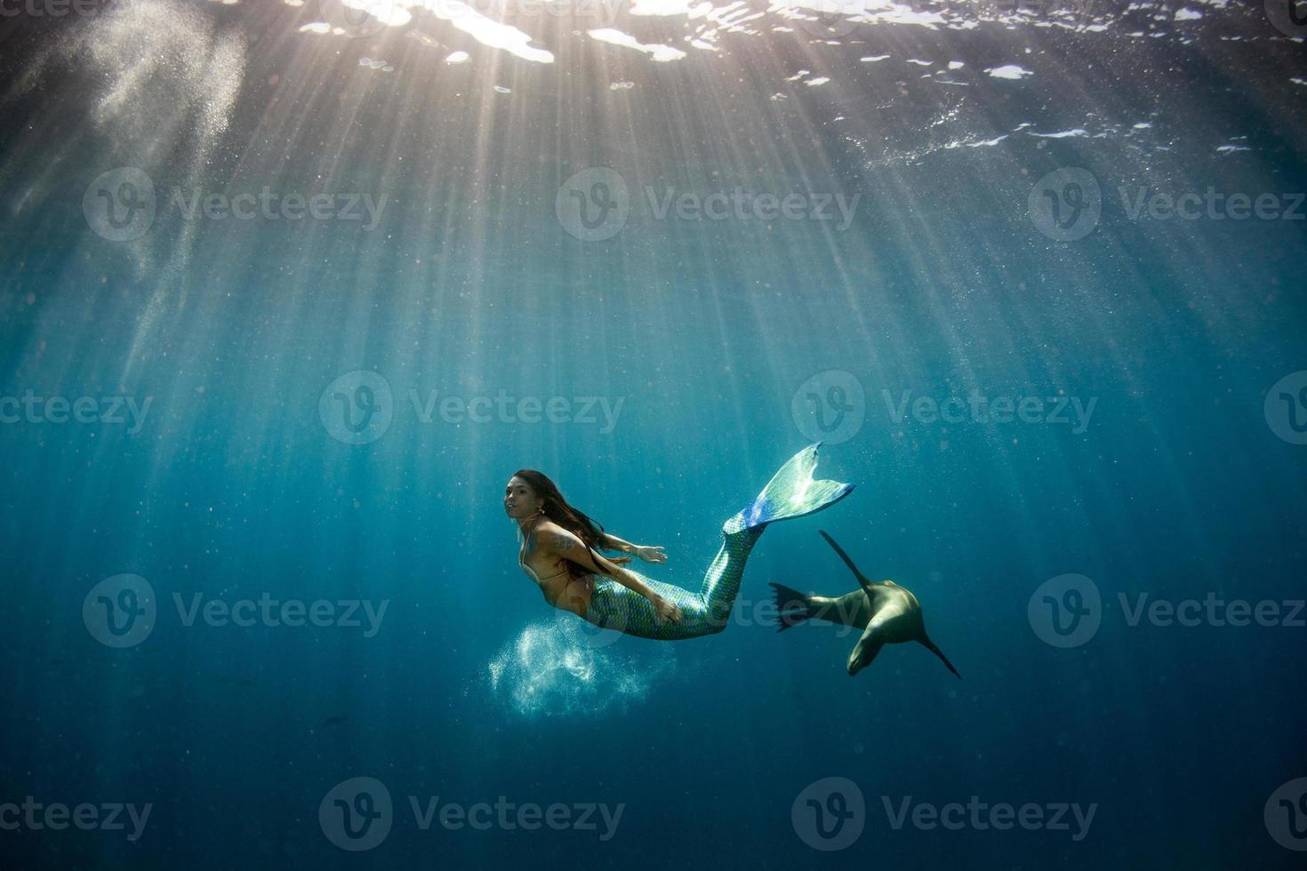 sirena nadando bajo el agua en el mar azul profundo con una foca foto