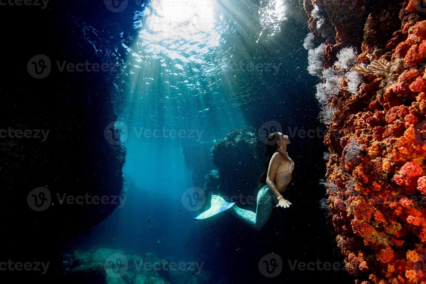 Mermaid swimming underwater in the deep blue sea photo