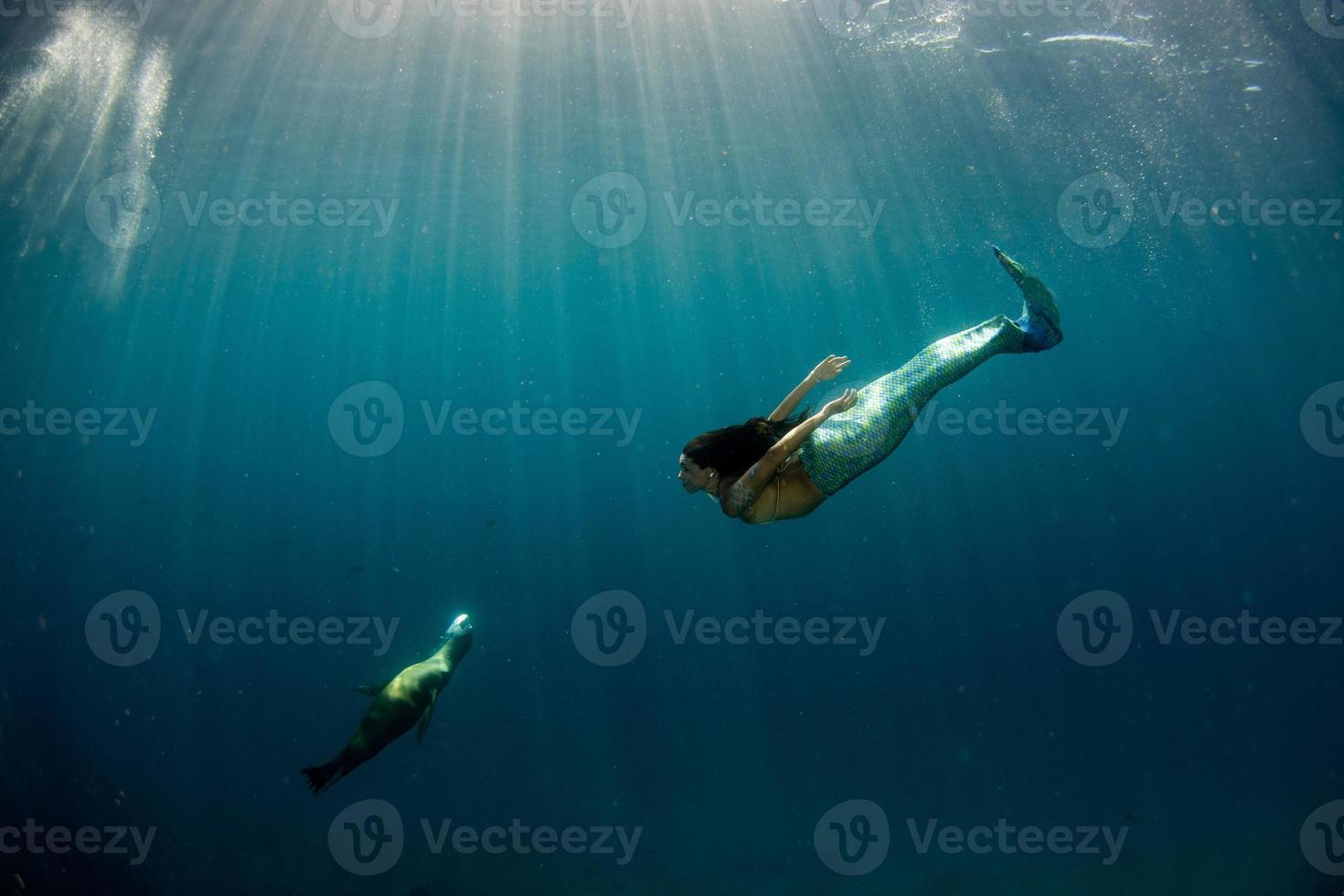 sirena nadando bajo el agua en el mar azul profundo con una foca foto