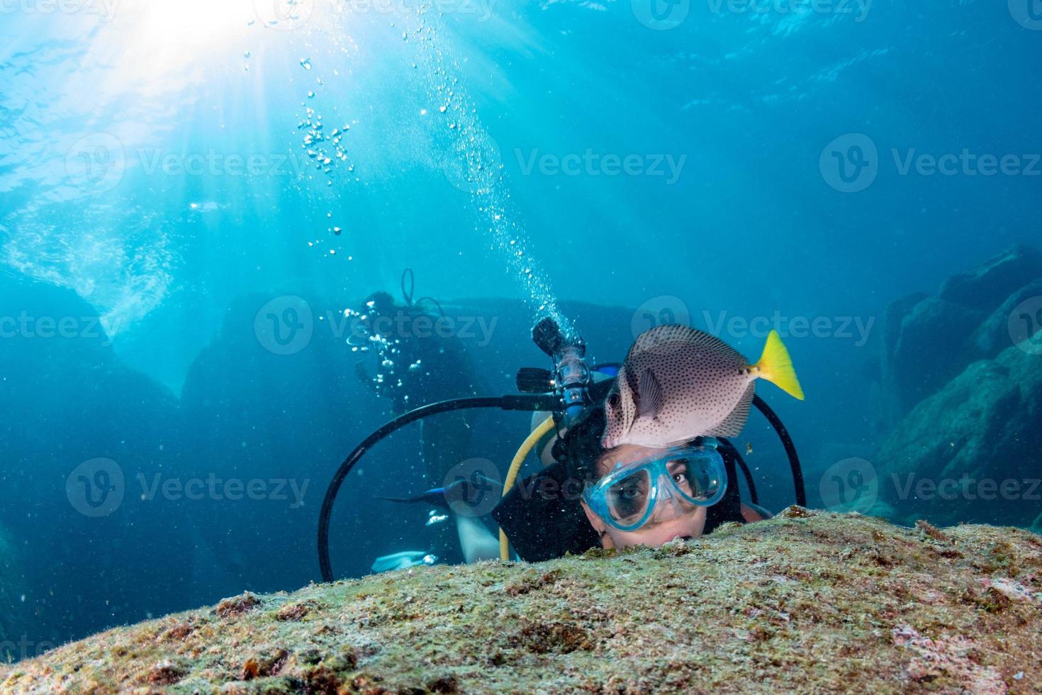 beautiful latina diver girl while touching a fish photo