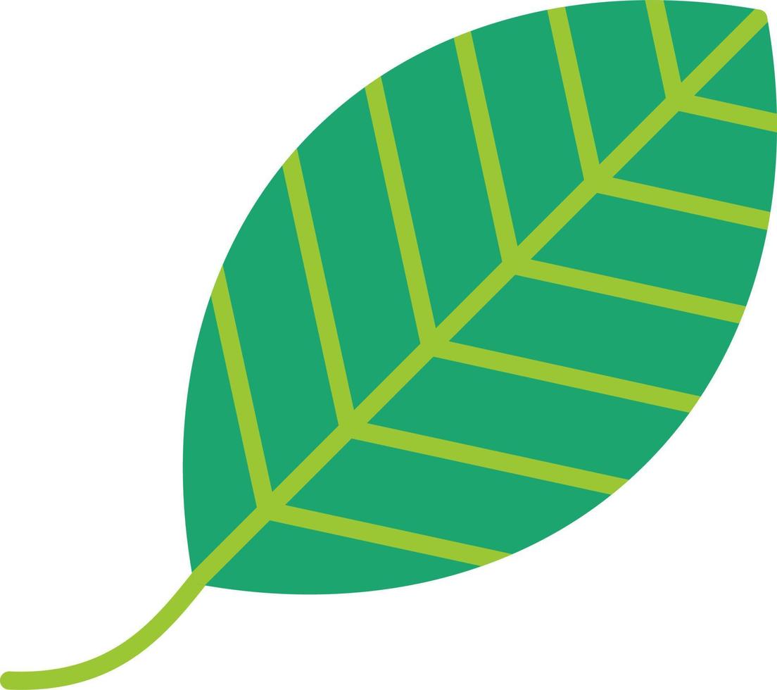 Leaf Vector Icon