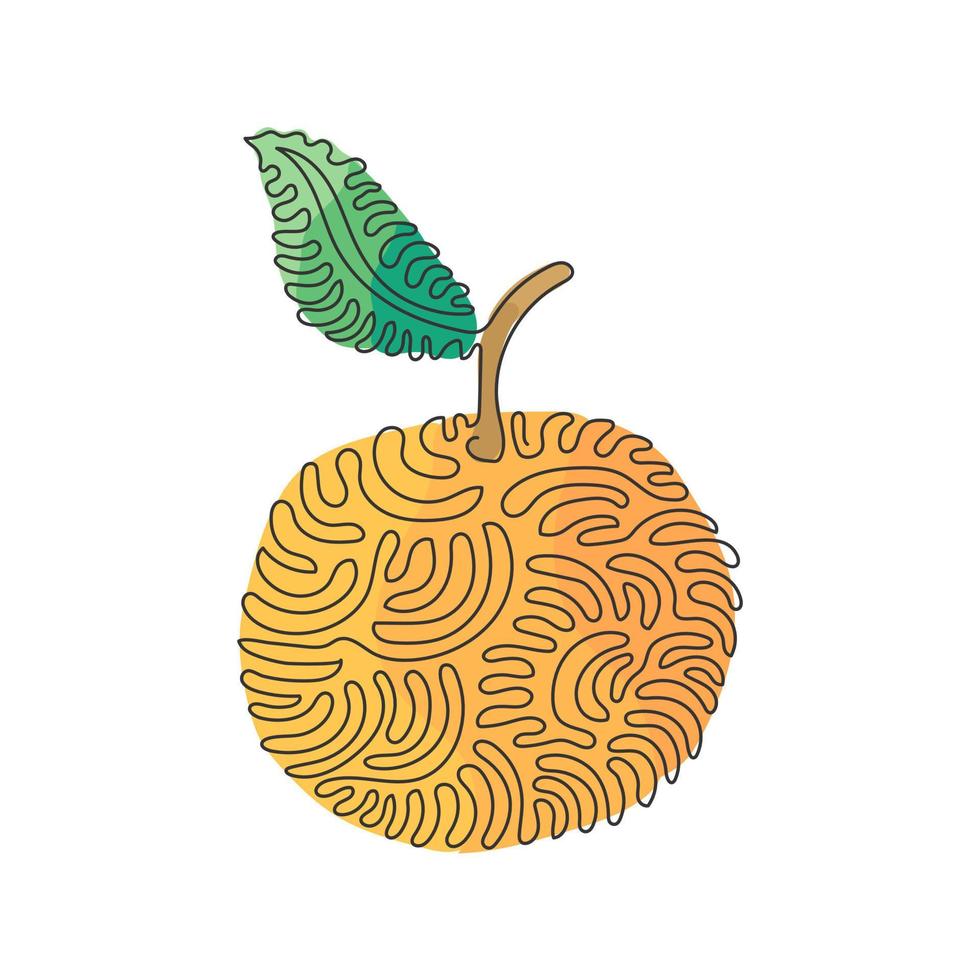 dibujo de una sola línea naranja orgánica sana entera para la identidad del logotipo de huerto. concepto de fruitage tropical fresca para el icono de jardín de frutas. estilo de rizo de remolino. Ilustración de vector de diseño de dibujo de línea continua