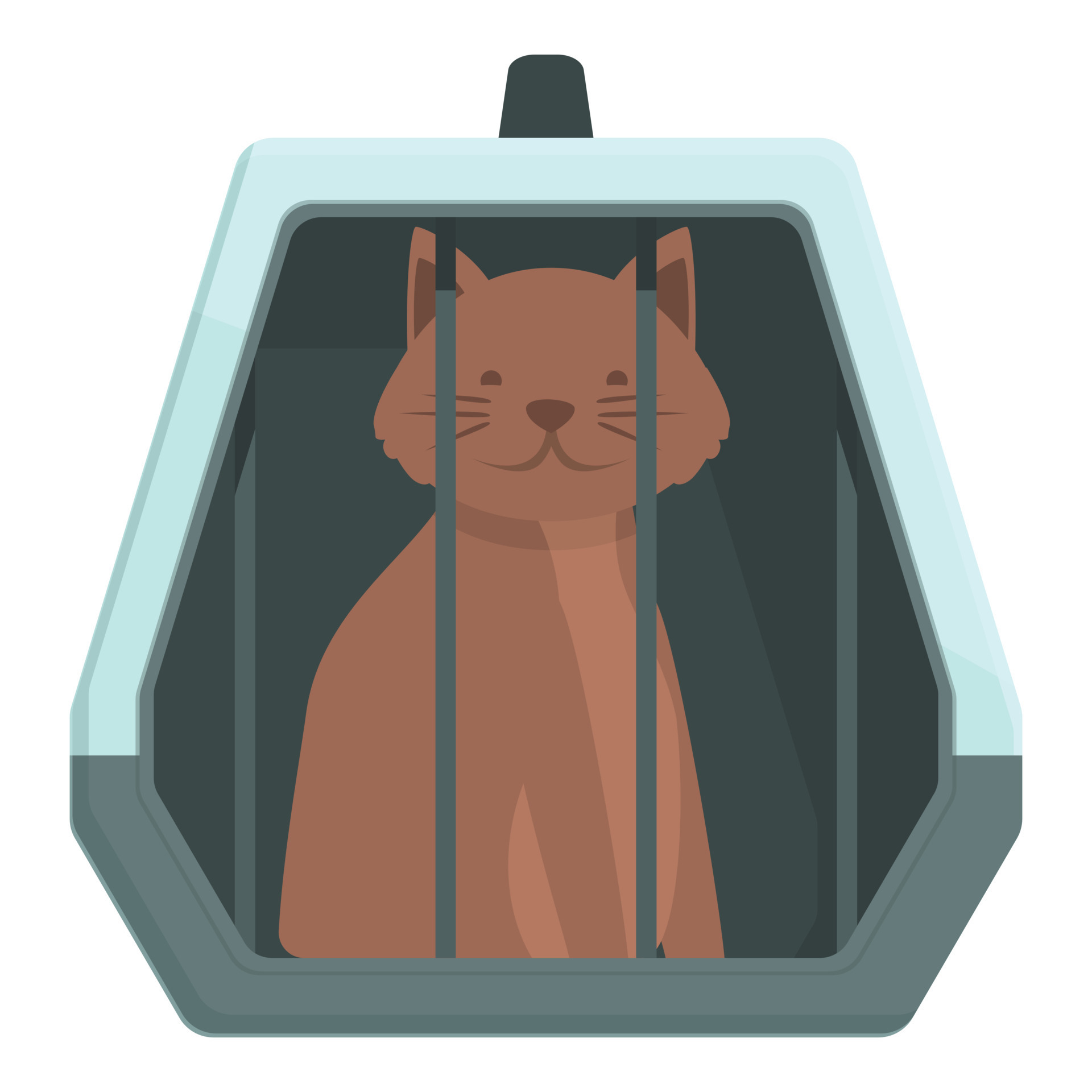 Cat case icon cartoon vector. Pet cage 20356723 Vector Art at Vecteezy