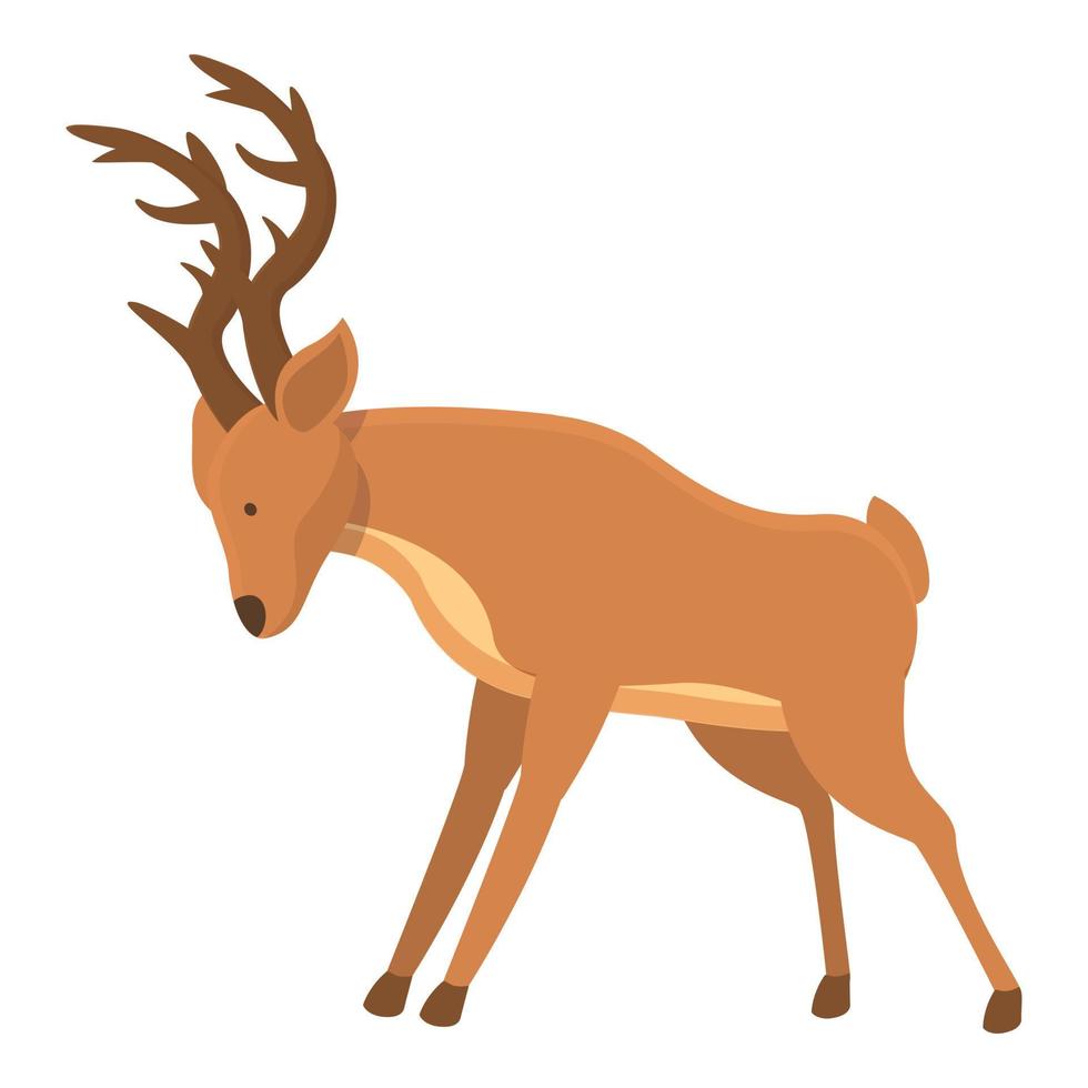 Fauna stag icon cartoon vector. Wildlife baby vector