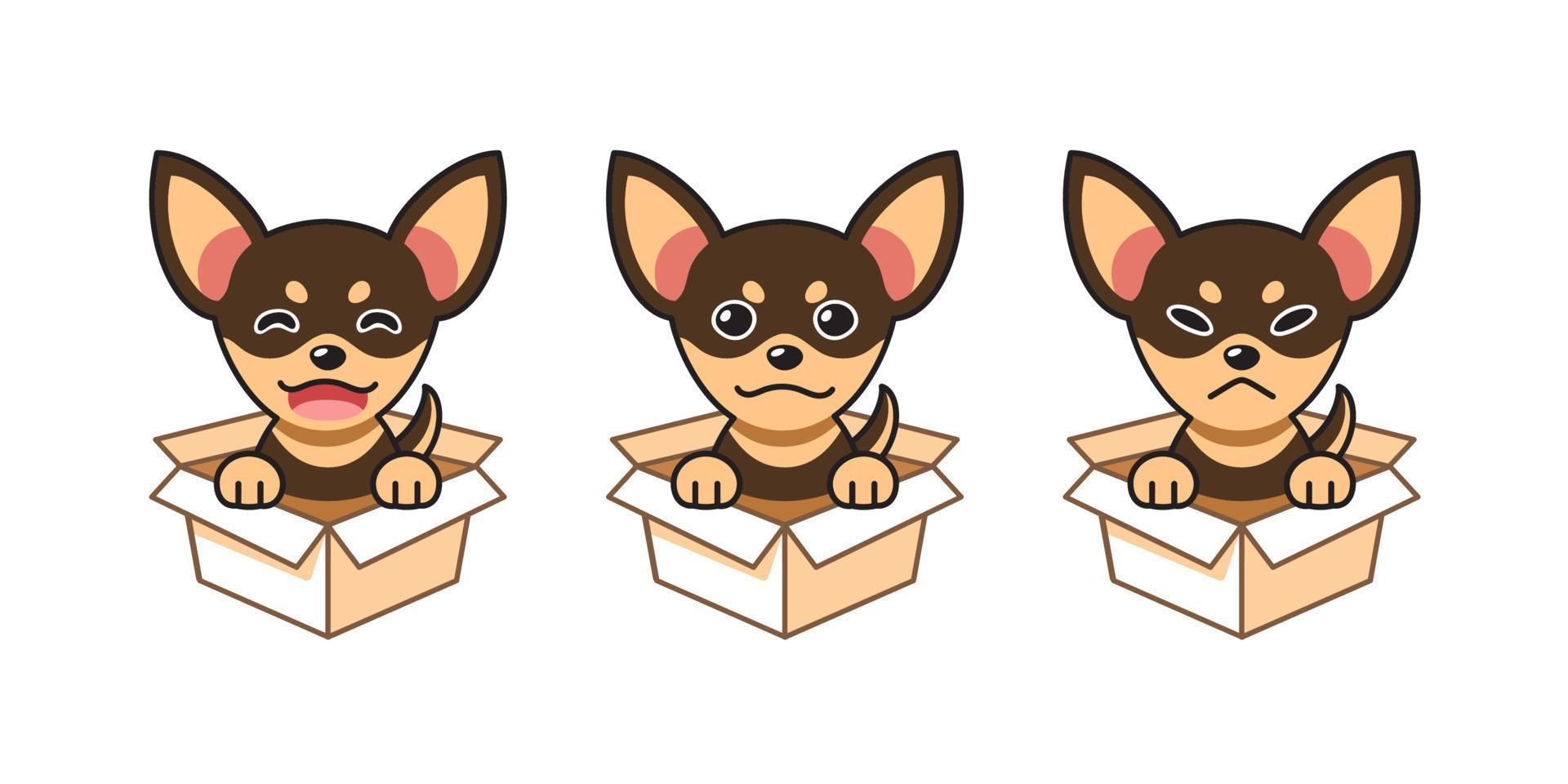 Vector cartoon illustration set of chihuahua dog showing different emotions in cardboard boxes