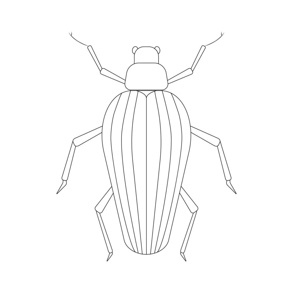 Beetle linear illustration botanical collection. vector