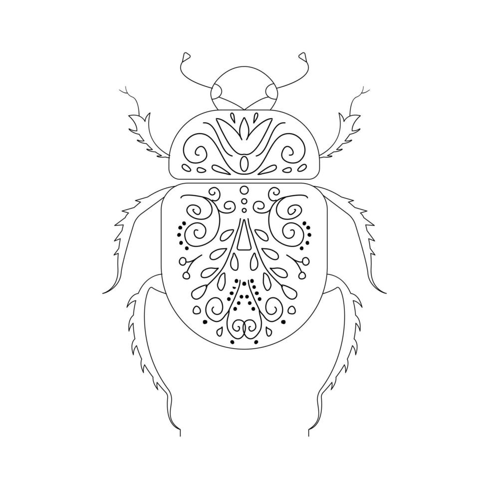 Beetle linear illustration botanical collection. vector