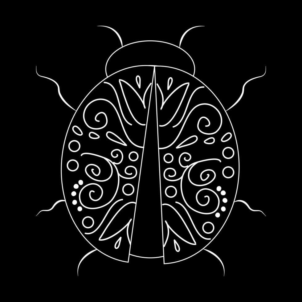 Beetle white linear illustration on black background. Botanical collection vector