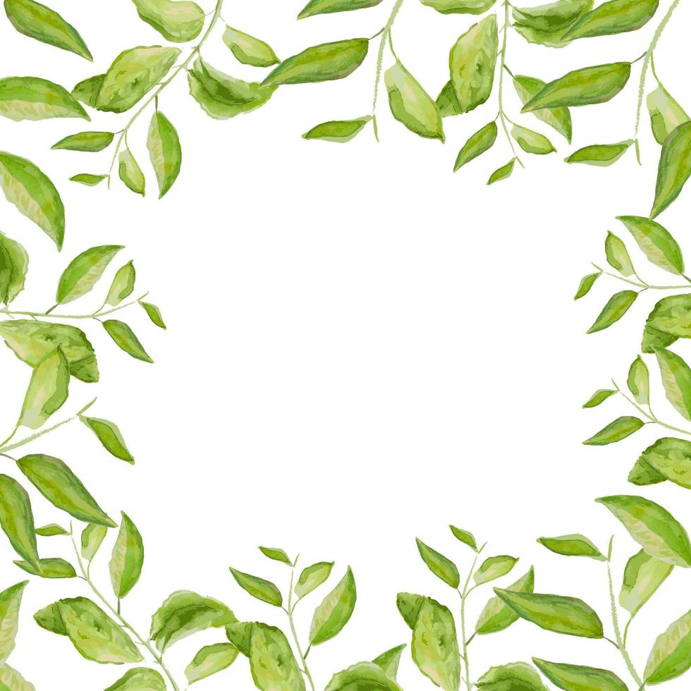 herbario vector acuarela marco. mano pintado verde ramas en blanco antecedentes. natural tarjeta diseño.