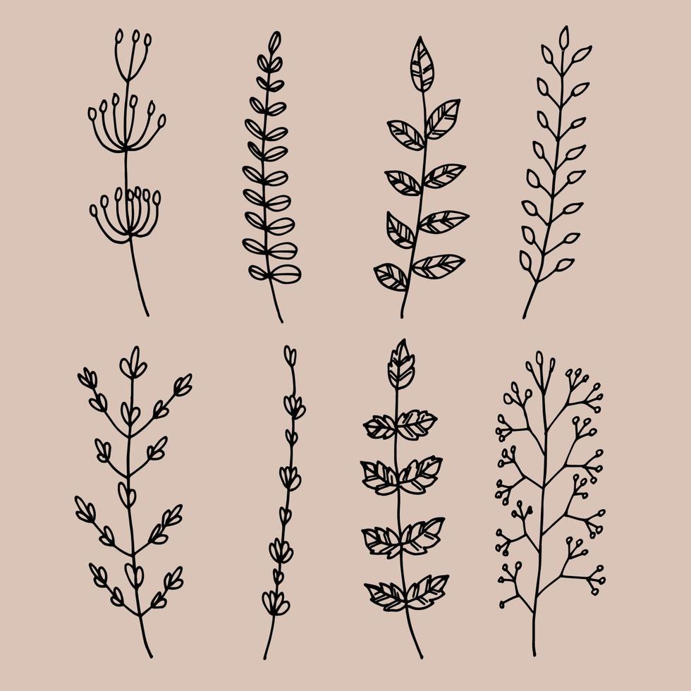 Hand drawn flower collection vector