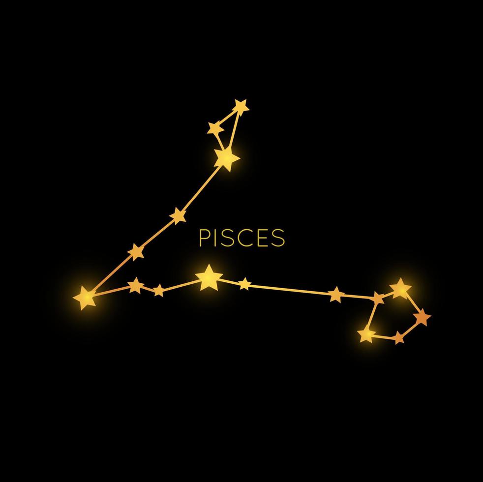 Pisces golden zodiac constellation, mystic sign vector