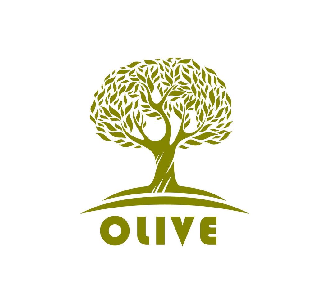 Olive tree, eco product symbol or emblem vector