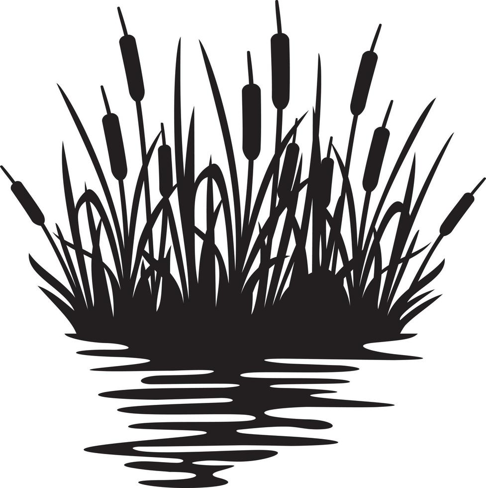 Reeds silhouette design reflecting over the lake or river. Illustration of bulrush and grass or river. vector