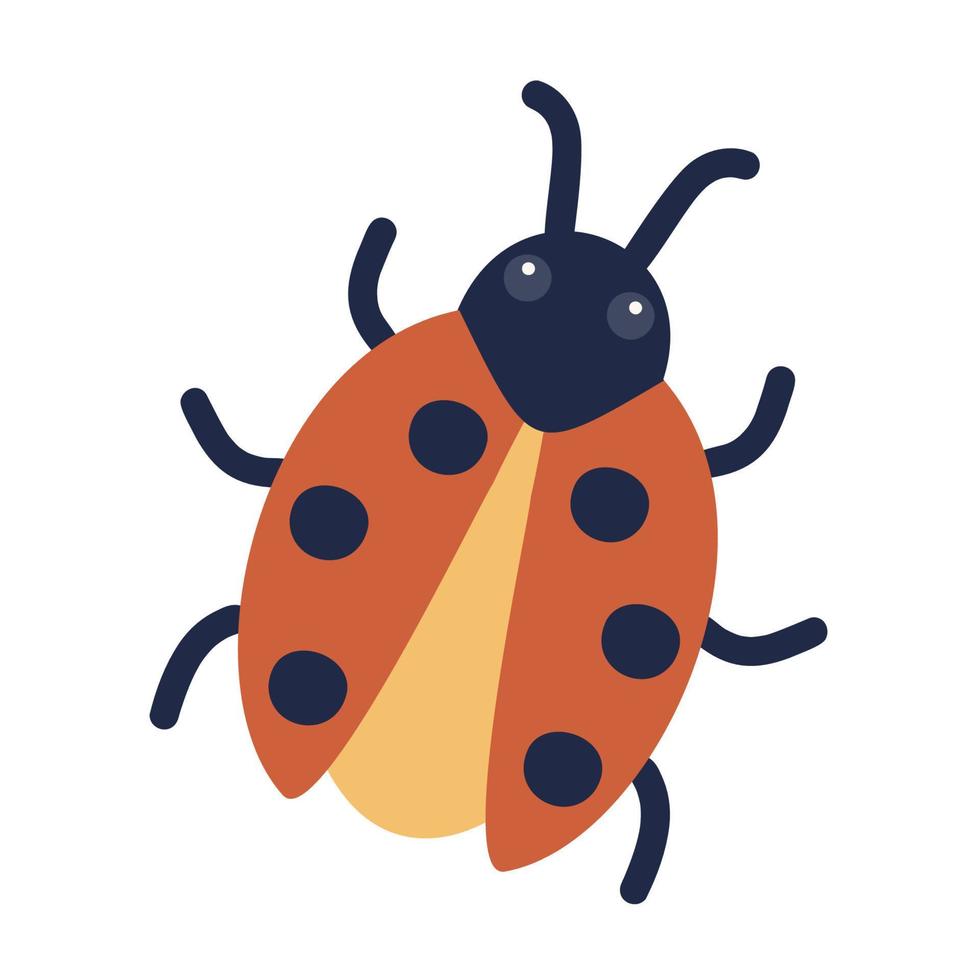 Ladybug. Vector illustration of a funny bug in cartoon style. Isolated on a white background.