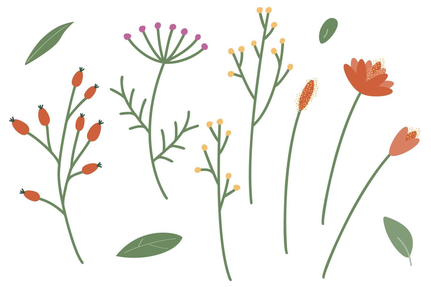 A set of twigs and leaves for decoration. Vector illustration of stylized plants in cartoon style. Isolated on a white background.