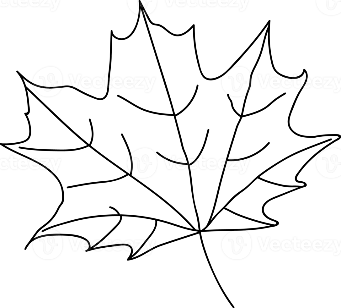 Maple Leaf Outline 20371917 PNG
