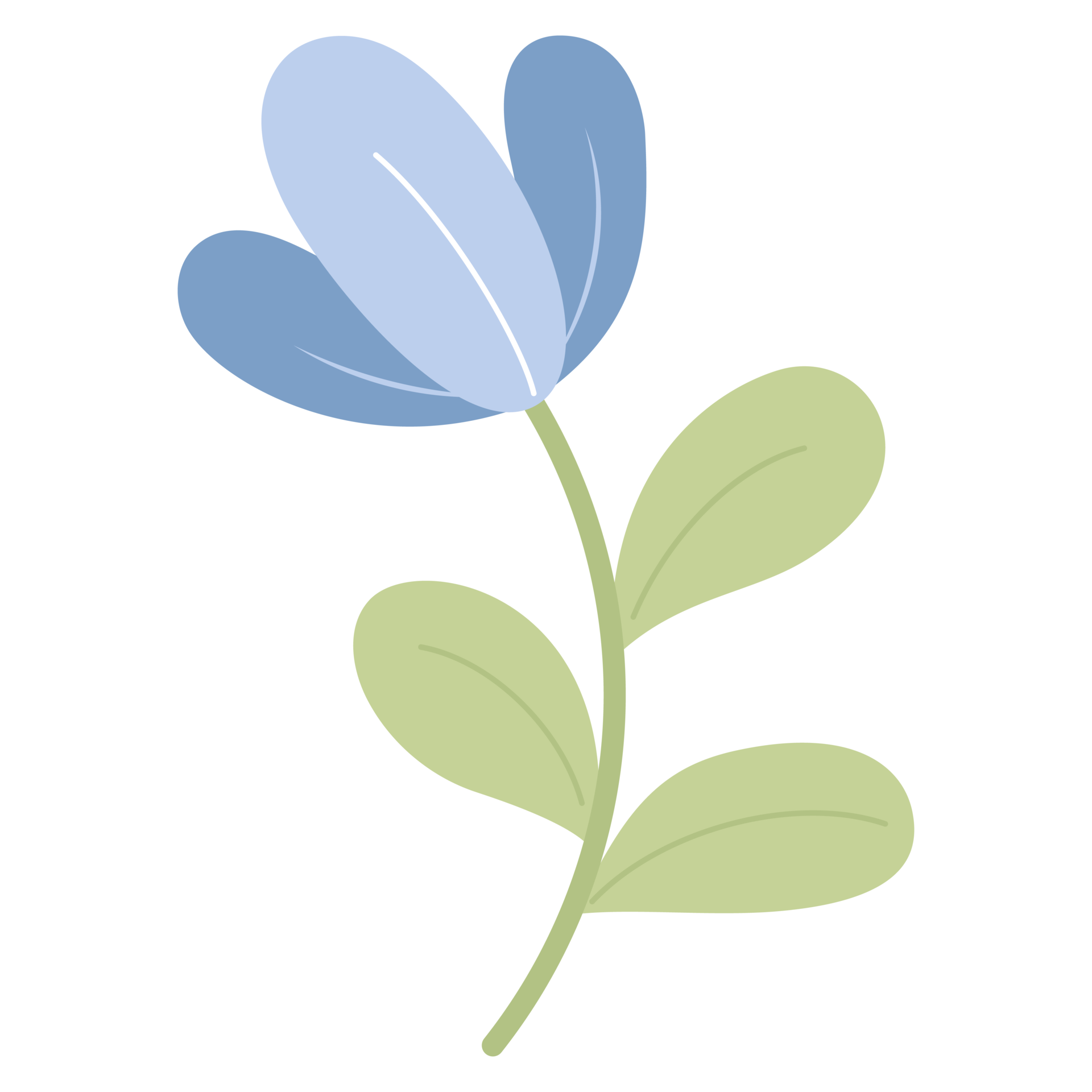 Beautiful blue flower. sticker 20372220 PNG