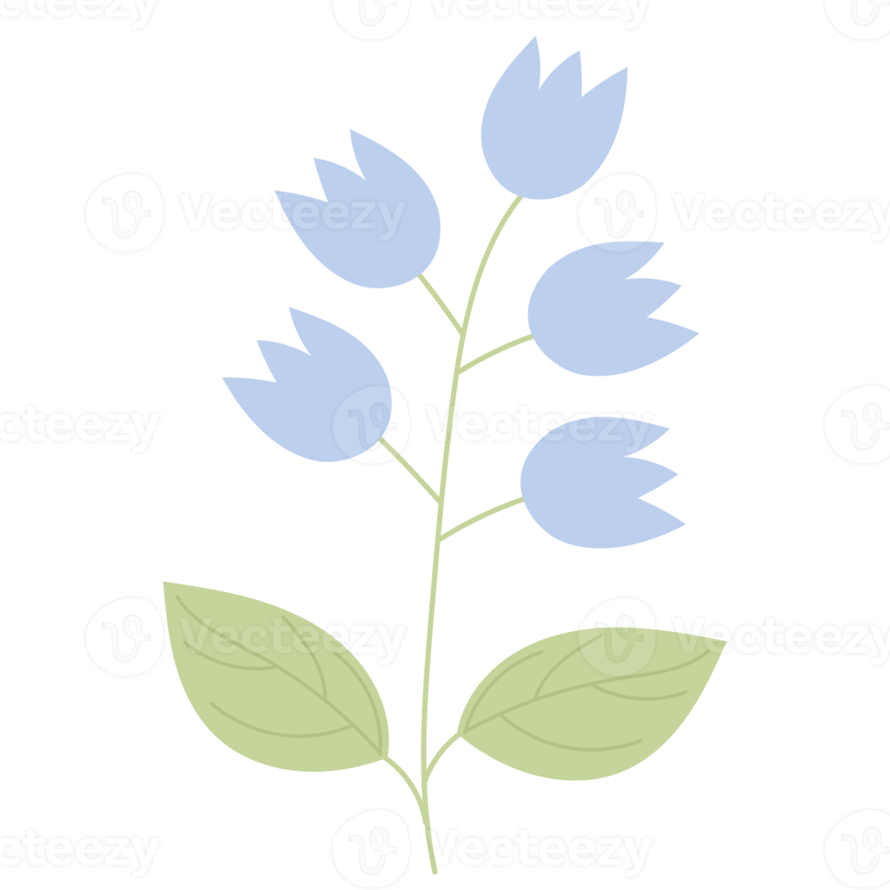 Blue flower bluebells. sticker png