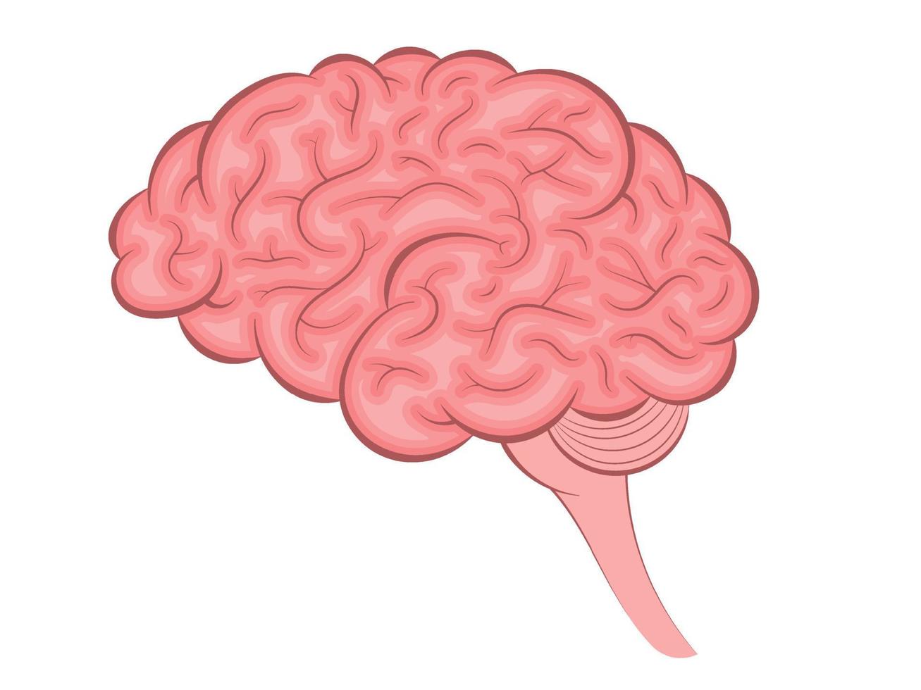 humano cerebro. interno Organo, anatomía. vector dibujos animados icono. ilustración aislado en blanco antecedentes.