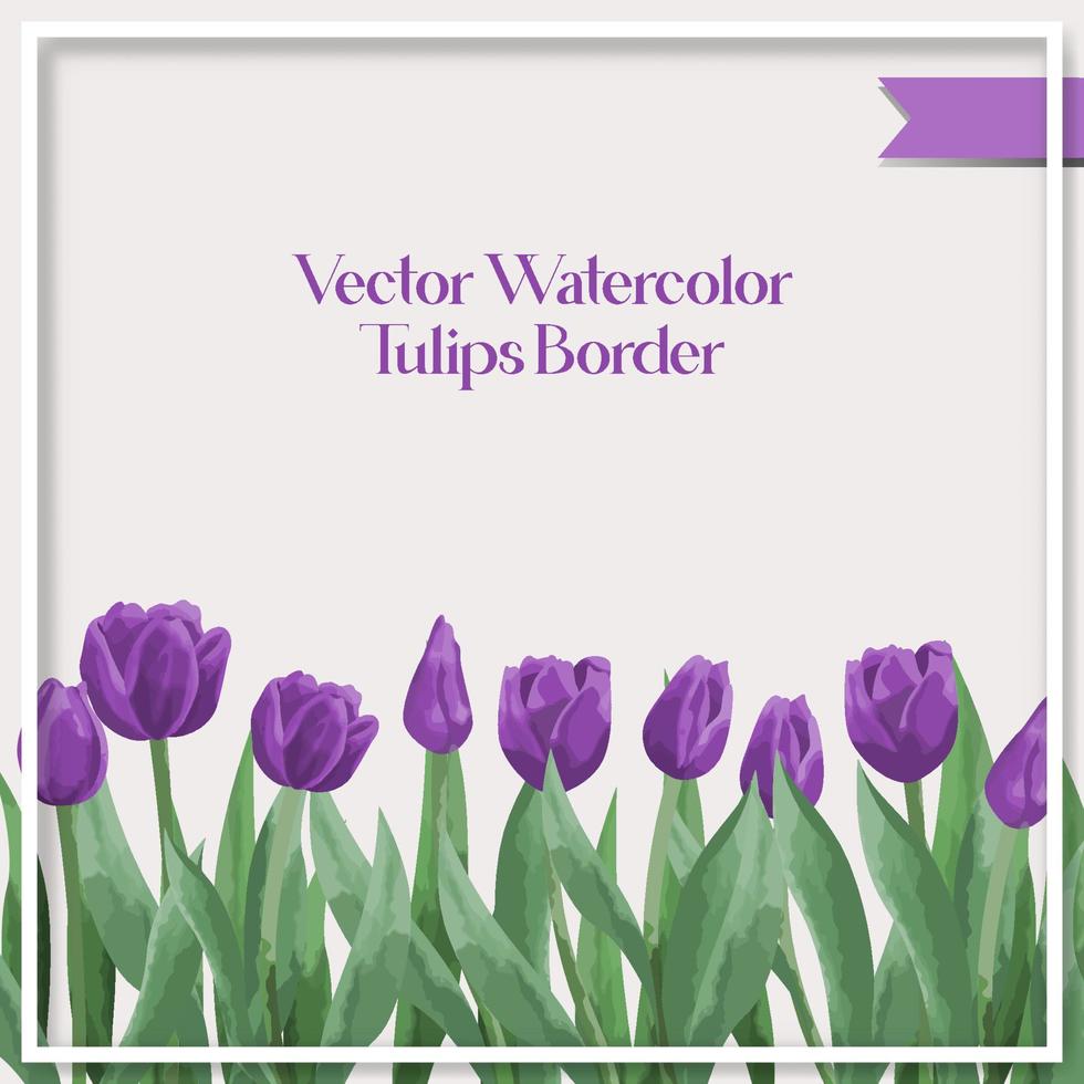 Vector watercolor tulips border collection