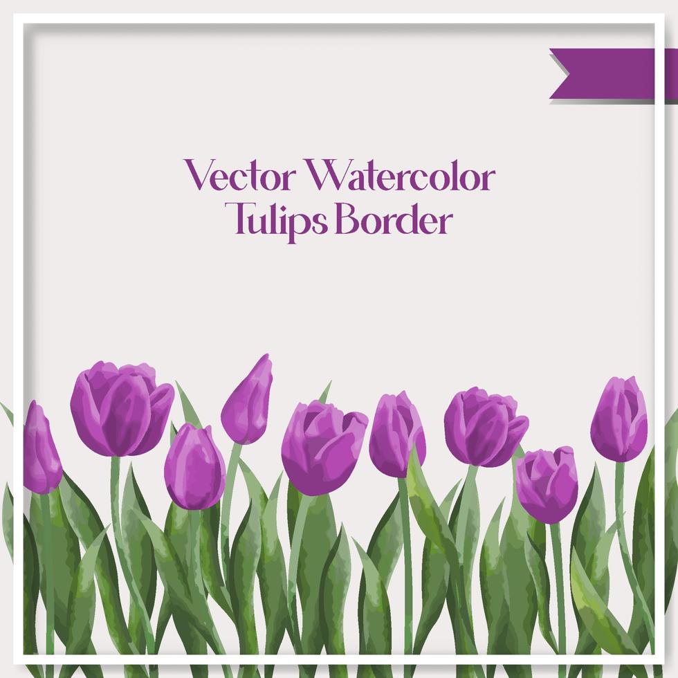 vector acuarela tulipanes frontera colección