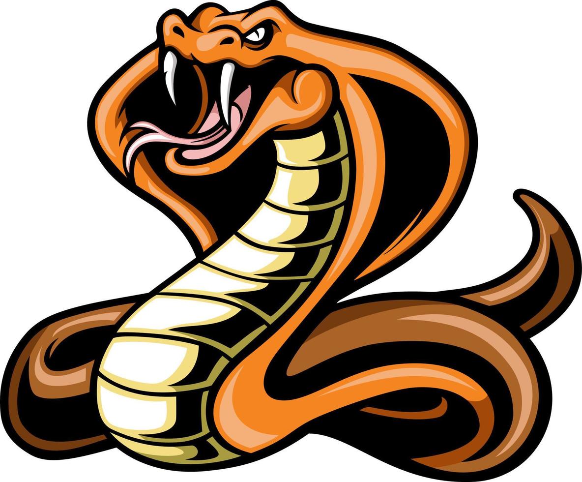 Cute king cobra snake on white background vector