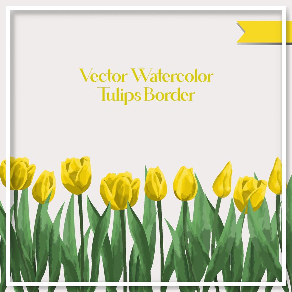 Vector watercolor tulips border collection