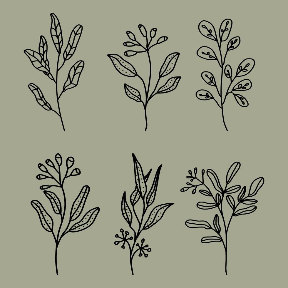 Hand drawn flower collection vector