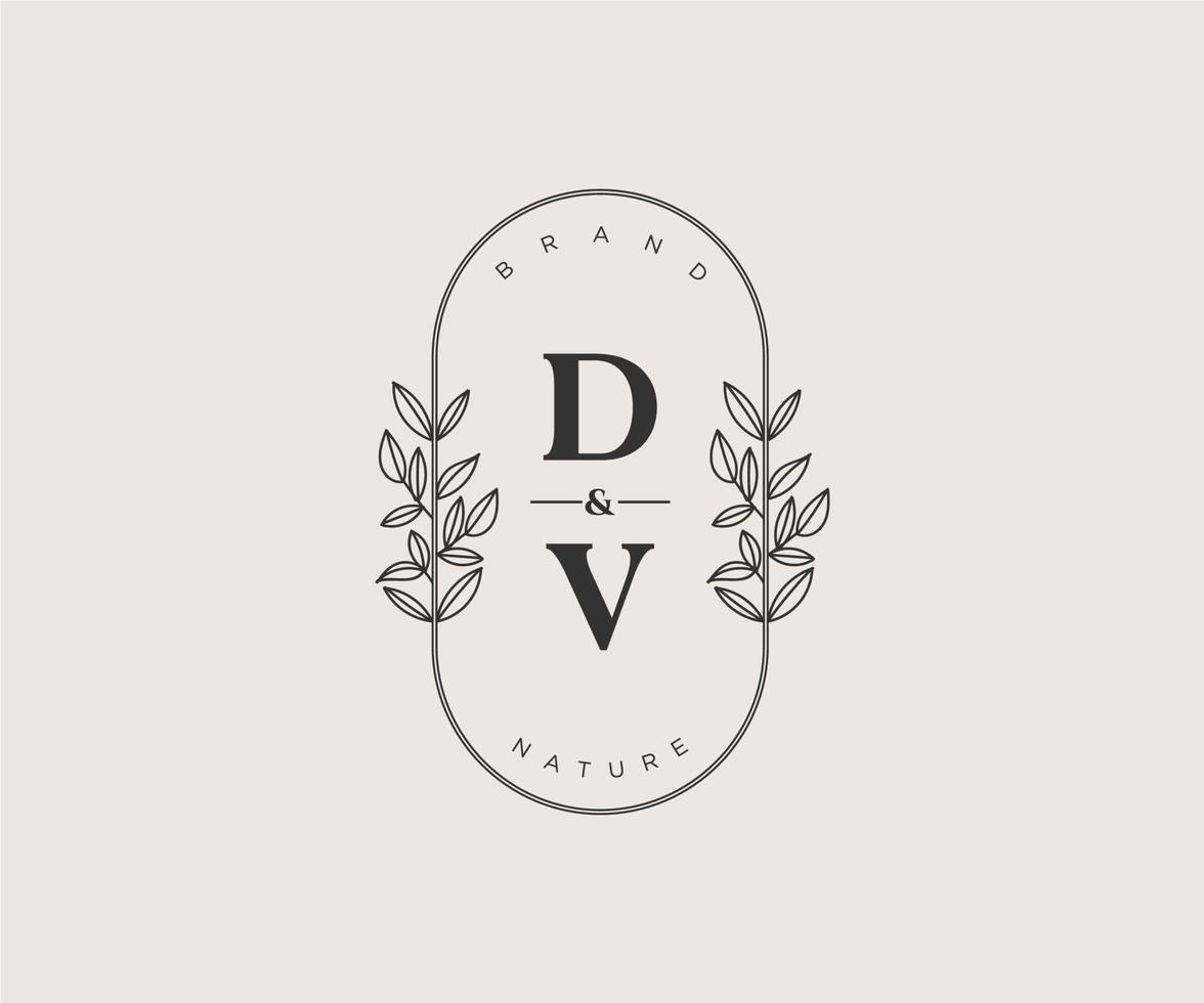initial DV letters Beautiful floral feminine editable premade monoline logo suitable for spa salon skin hair beauty boutique and cosmetic company. vector