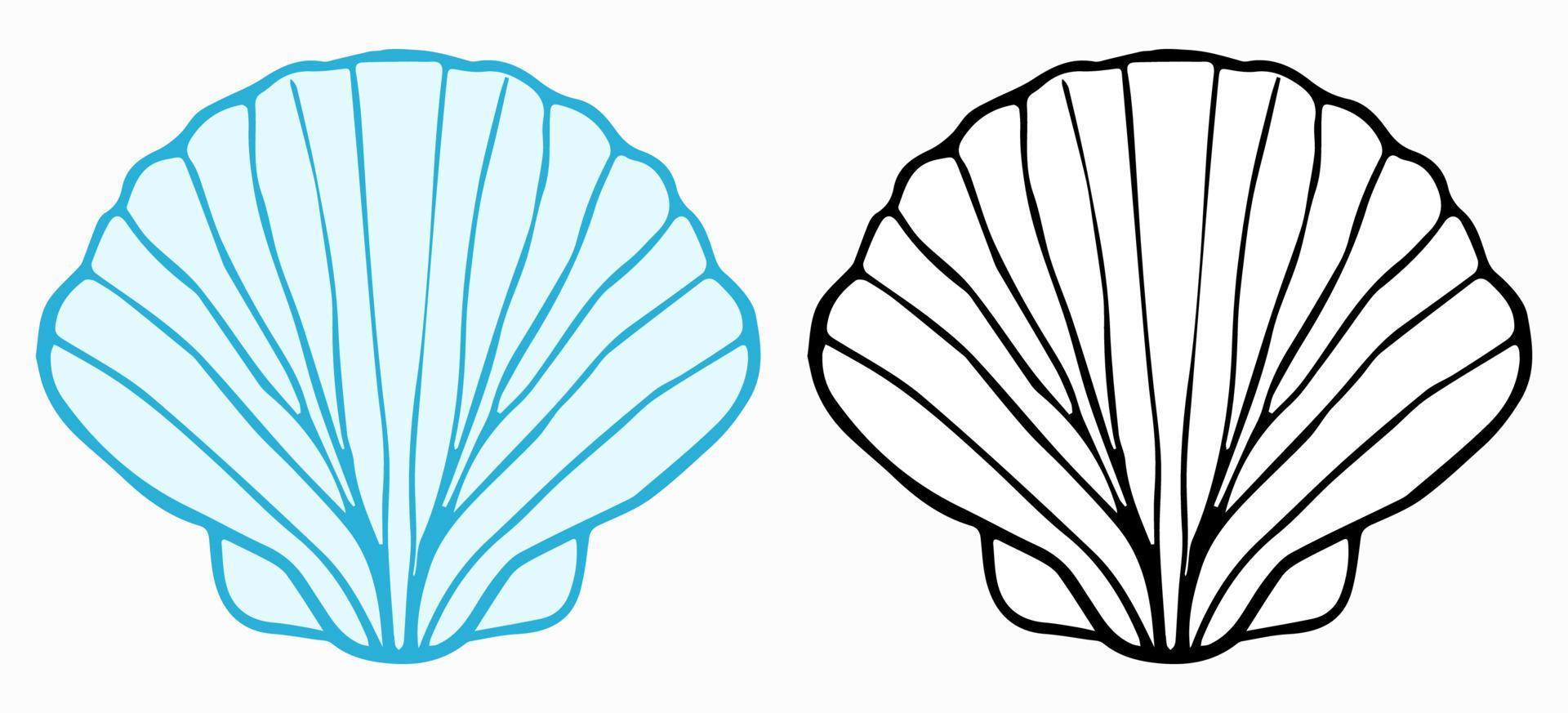 shell clamp oyster blue color clip art line art vector illustration design template