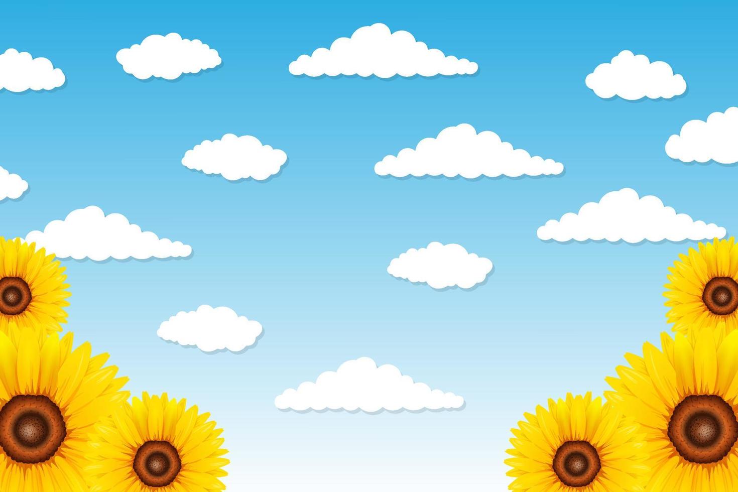 sunflower farm garden cloudy blue sky template cute background wallpaper design illustration vector