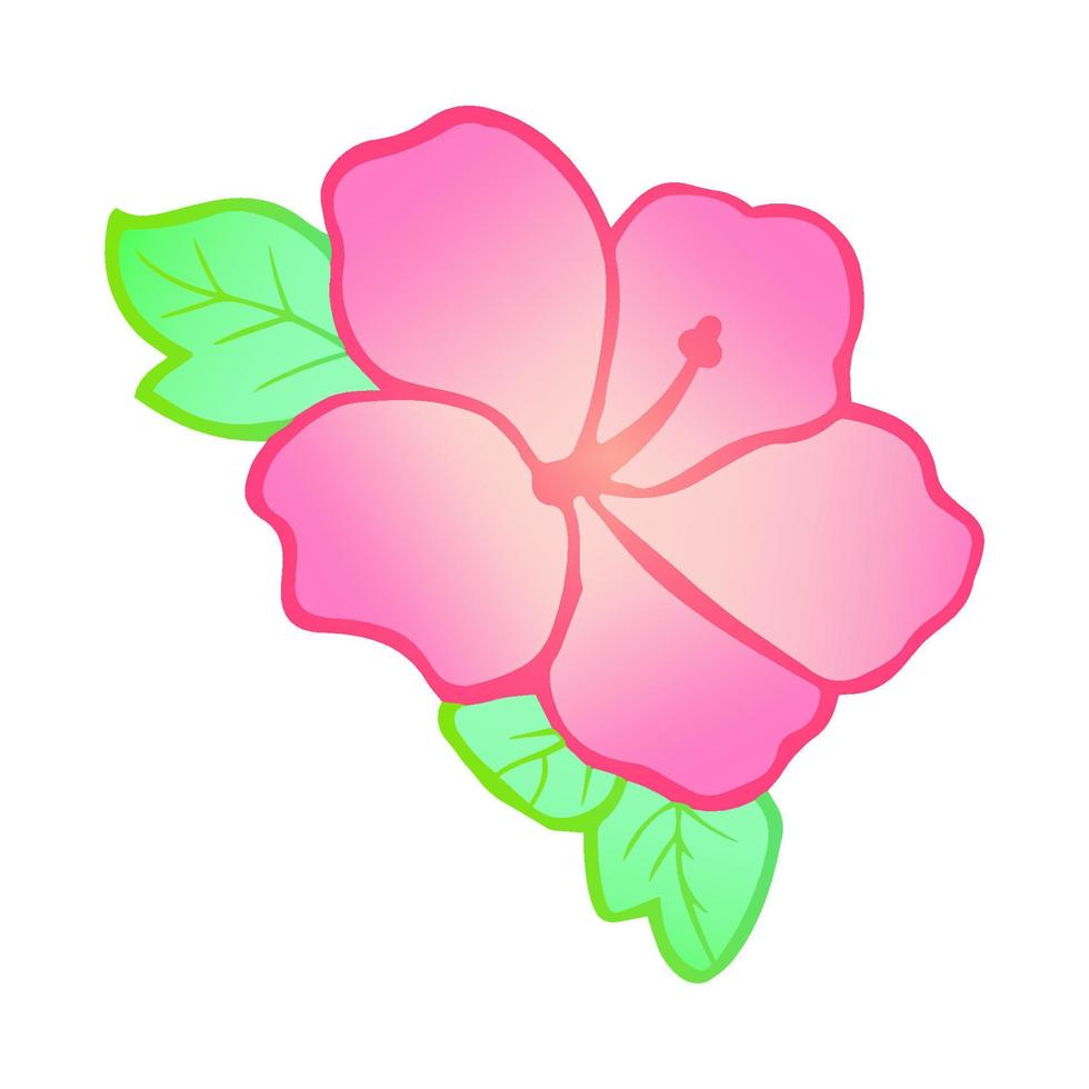 flower botanical floral garden pink color clip art design illustration vector