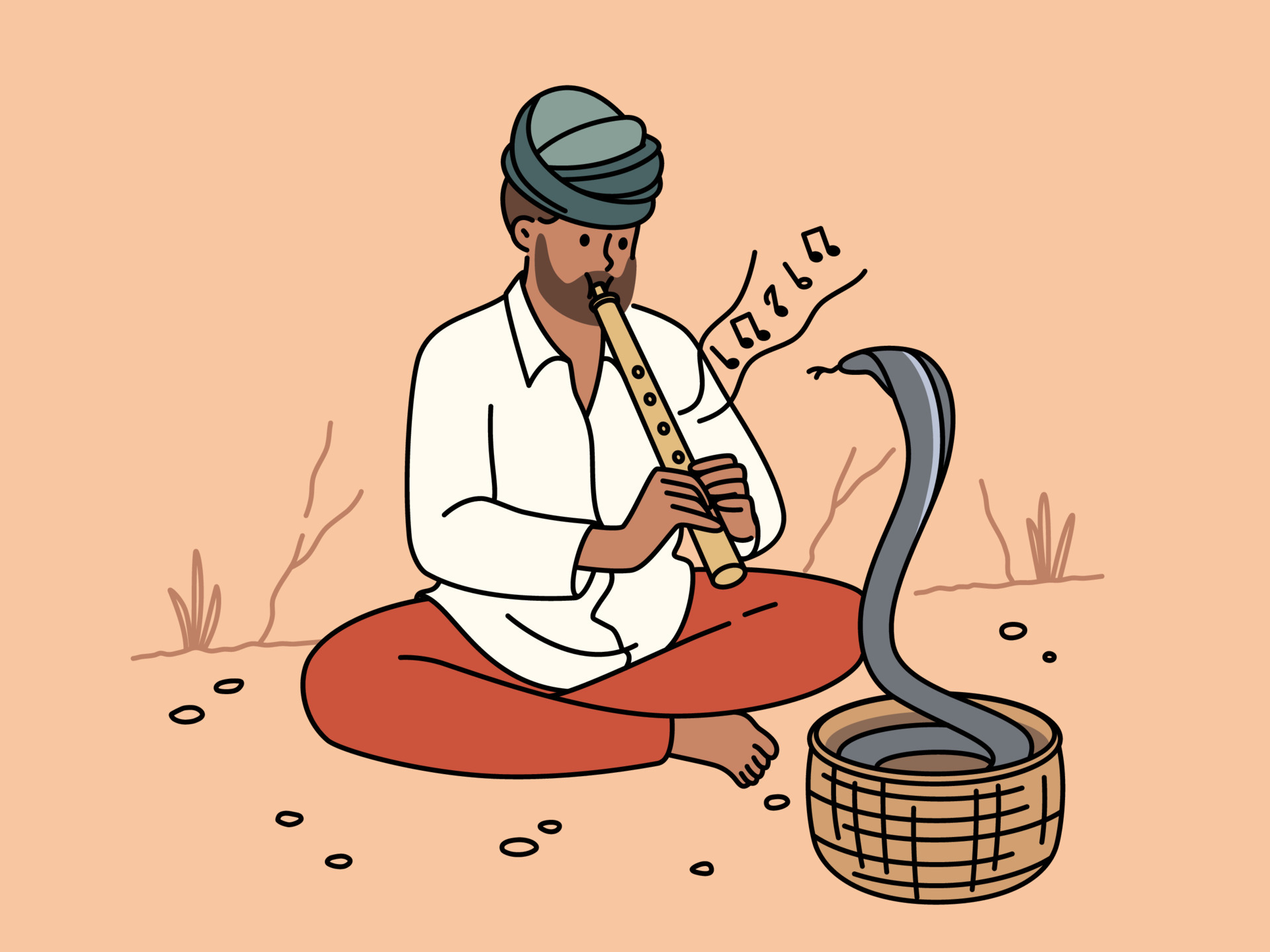 Man in turban playing on flute with cobra dancing in basket. Snake