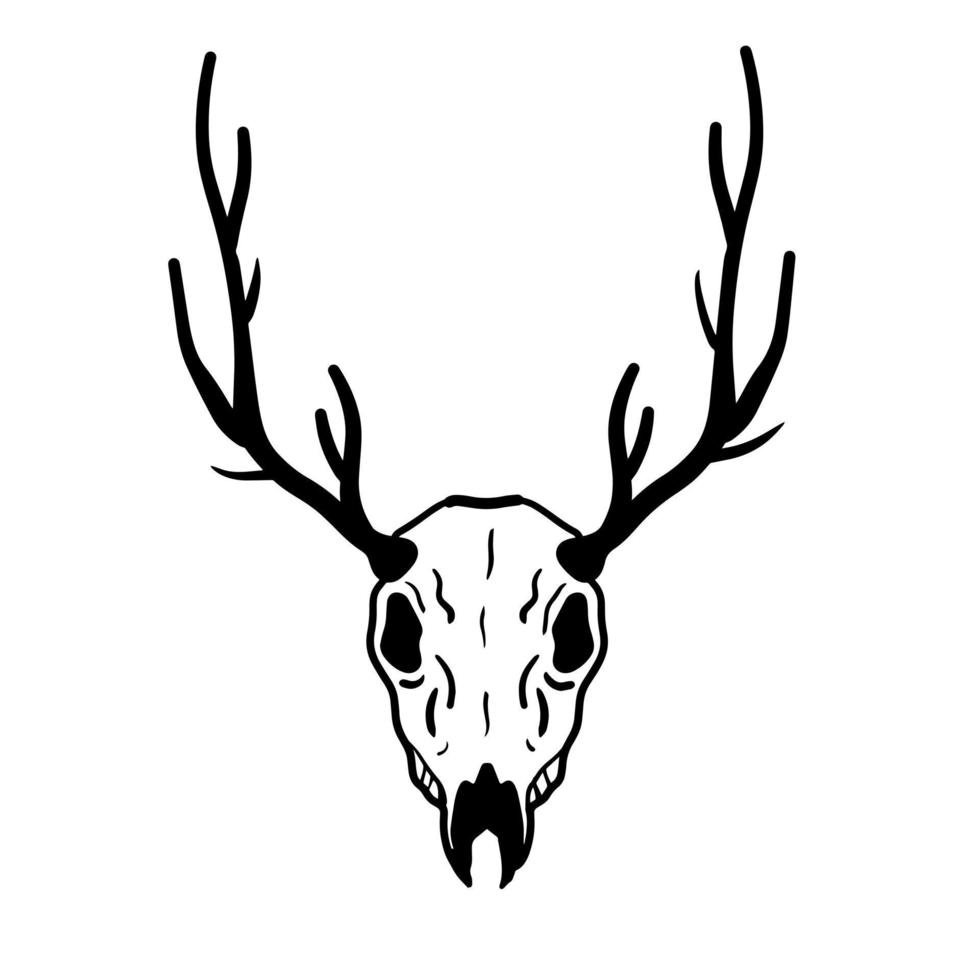 Skull of deer. Hunting trophy with horns. Antler of stag or reindeer. Scary black and white drawing for Halloween. Cartoon illustration isolated on white vector