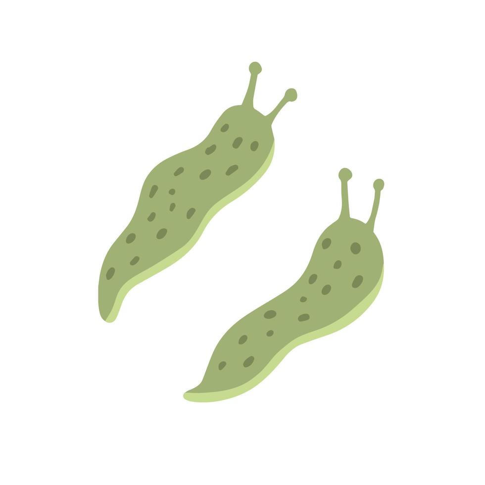 Green slug. Set of slippery insects. Flat cartoon illustration isolated on white background vector