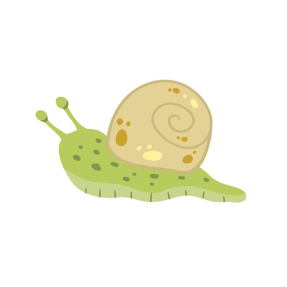 Snail with shell. Small green insect. Forest slow slimy animal. vector