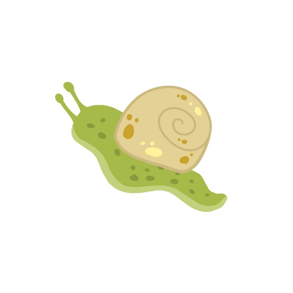 Snail with shell. Small green insect. Forest slow slimy animal. vector