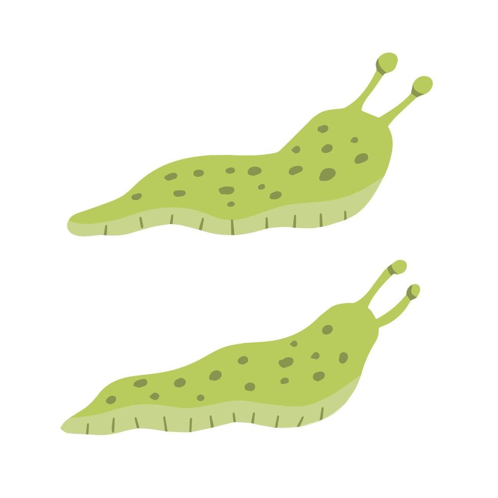 Green slug. Set of slippery insects. Flat cartoon illustration isolated on white background vector