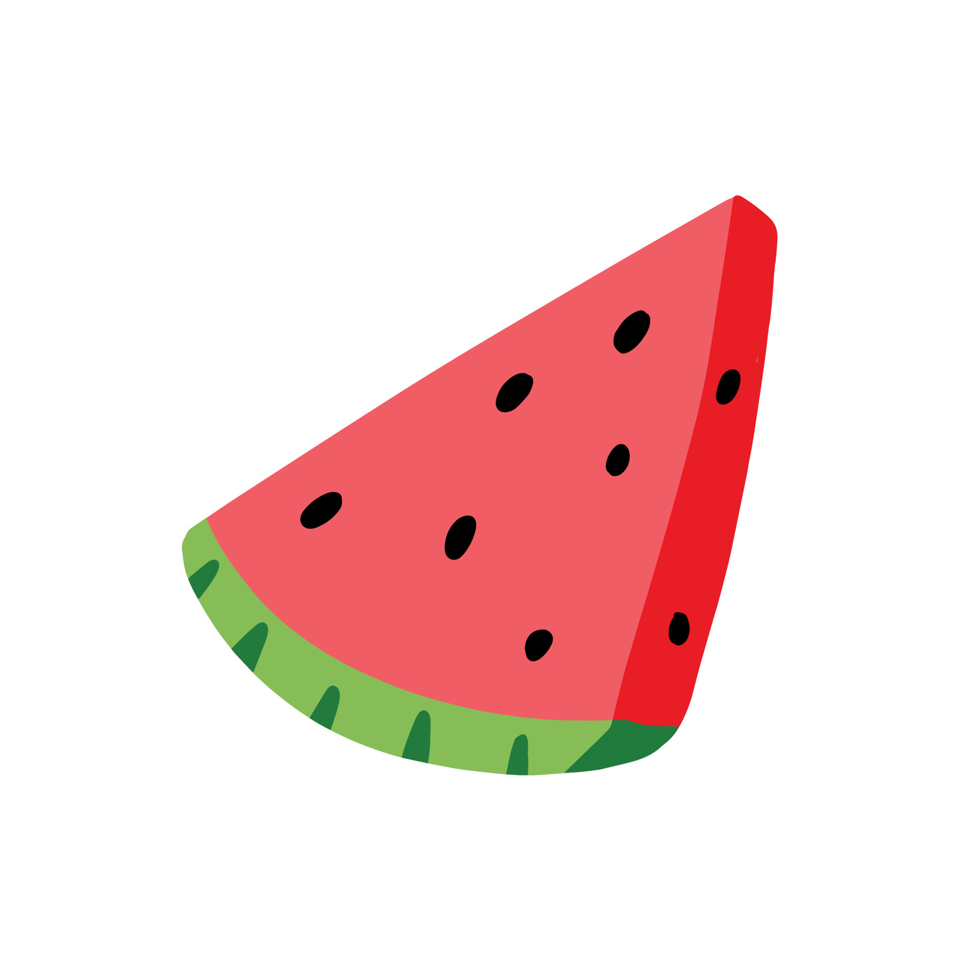 Slice Of Watermelon Cartoon. Vector Food Fruit isolated on white