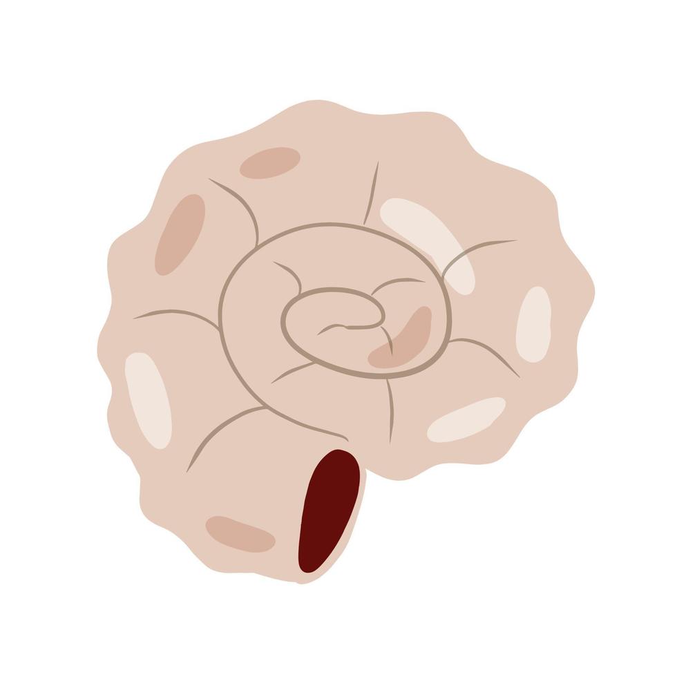 Spiral shell of snail or mollusk. Decoration of aquarium and nature. Simple doodle cartoon illustration vector