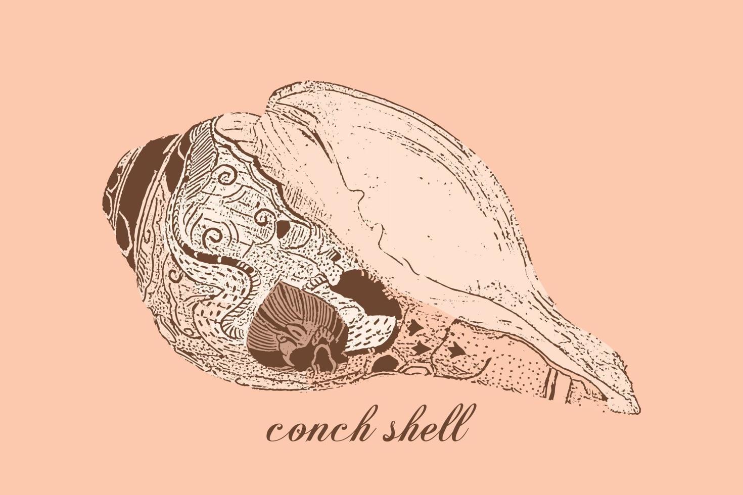 Vedic Conch Shell vector icon design, conch icon