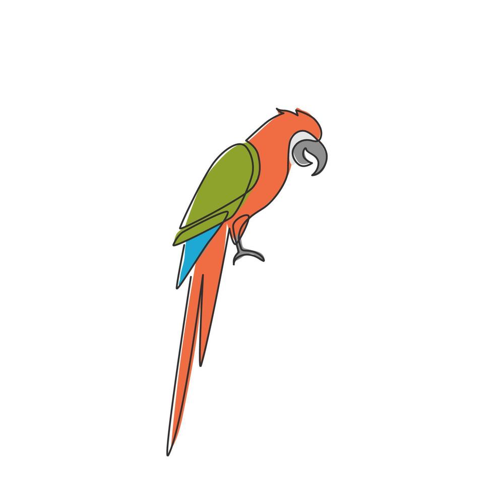 dibujo de una sola línea continua de un lindo y adorable pájaro loro con cola larga para la identidad del logotipo. concepto de mascota animal de plumas de ala para el icono del zoológico nacional. Ilustración de vector de diseño gráfico de dibujo de una línea