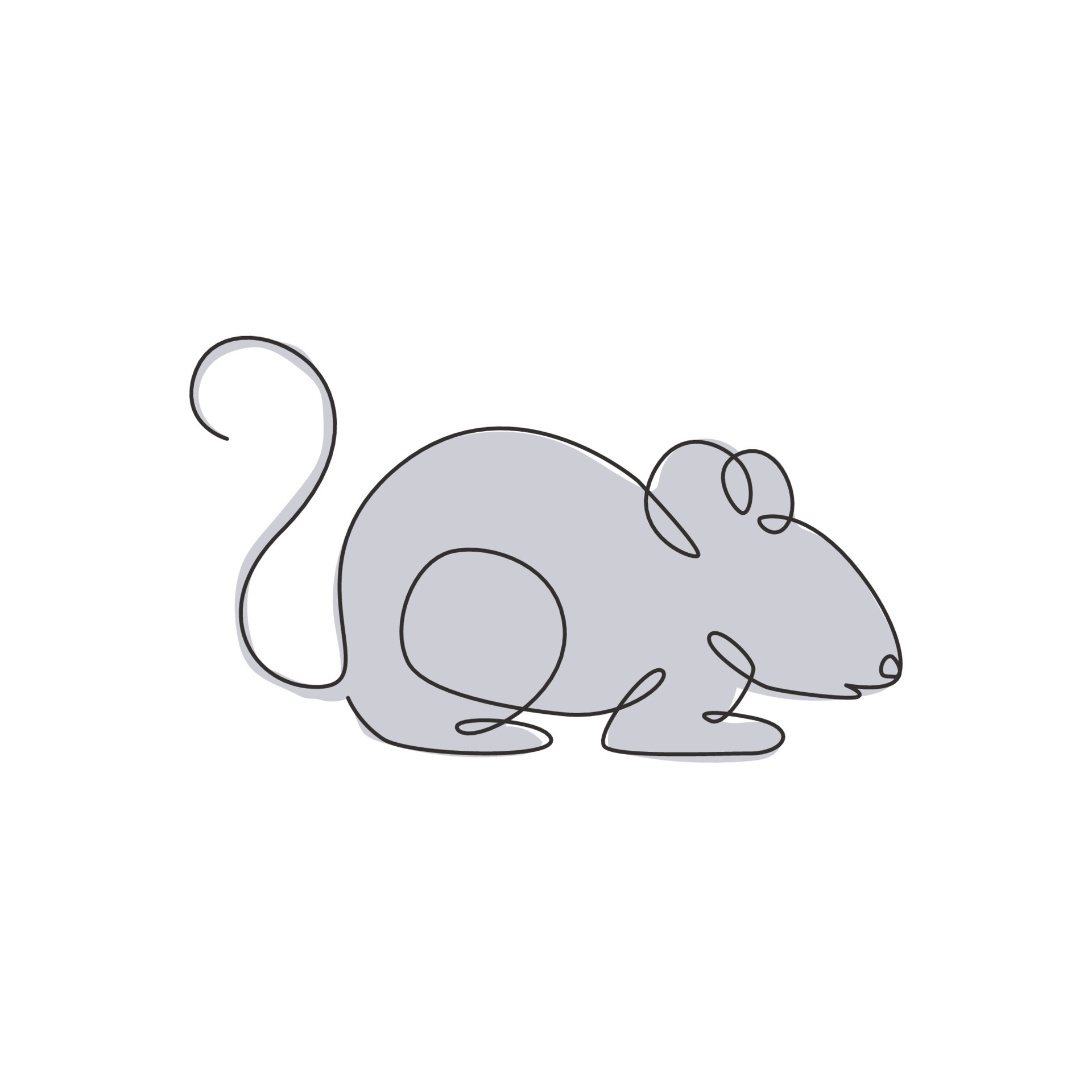 Mice mammal outlet